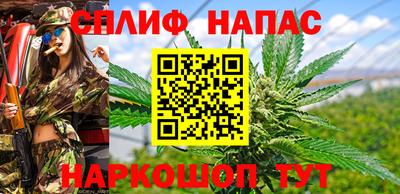 mdpv Краснознаменск