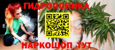 mdpv Краснознаменск