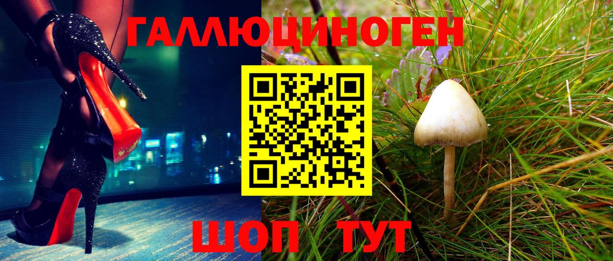 Псилоцибиновые грибы прущие грибы Железногорск
